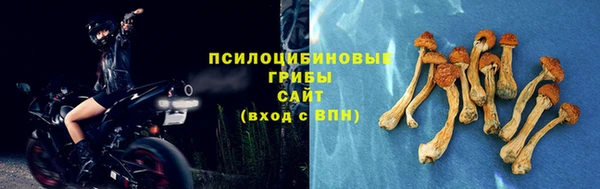 кокаин колумбия Новозыбков