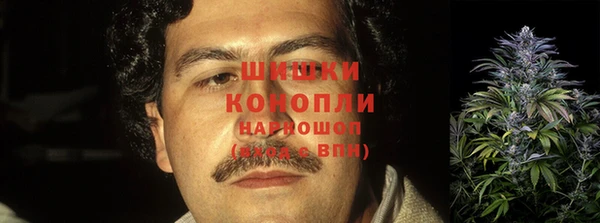 СК Новокубанск