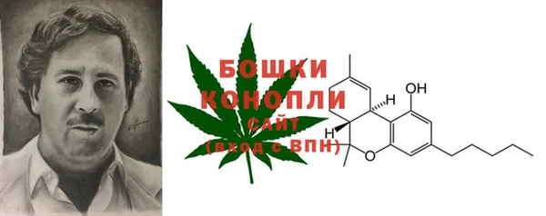 СК Новокубанск