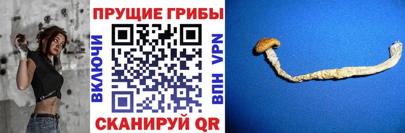 Галлюциногенные грибы GOLDEN TEACHER  МЕГА вход  Кемь 